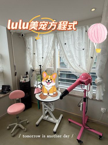 小狗洗护请找lulu[狗头]
