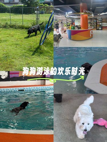邂逅暖宠店,店员超热情