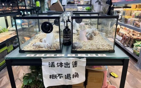 异宠不易“宠” 亟待规范管理跟进