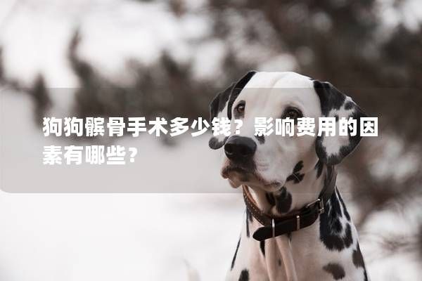 狗狗髌骨手术多少钱？影响费用的因素有哪些？