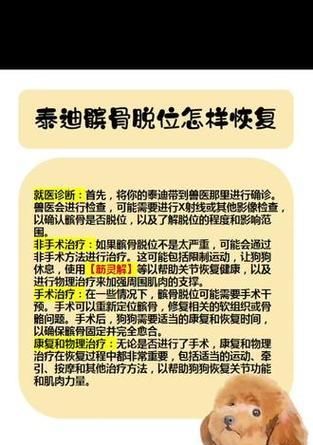 狗狗髌骨脱位（了解如何确诊和治疗狗狗髌骨脱位的方法）