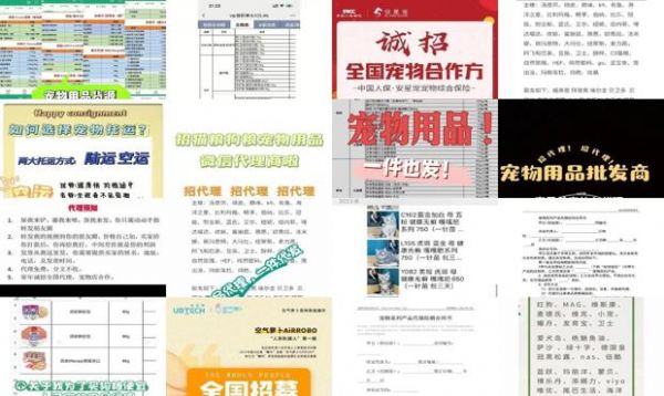 如何做宠物代理