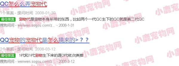 如何做宠物代理