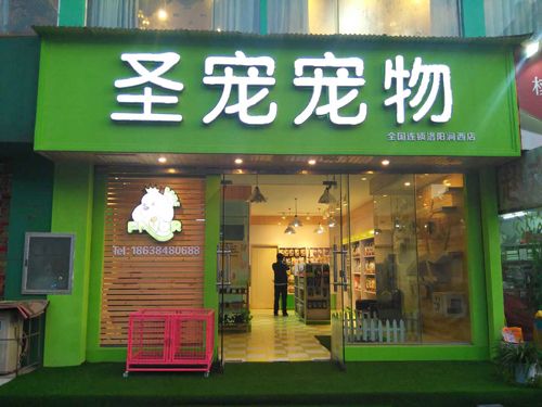 开宠物店需要注意什么