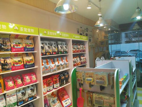 开宠物店需要注意什么