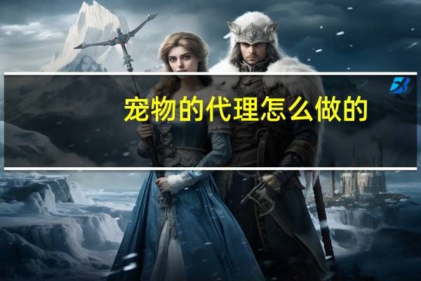 宠物的代理怎么做的