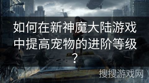 如何在新神魔大陆游戏中提高宠物的进阶等级？