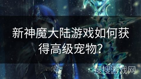 新神魔大陆游戏如何获得高级宠物？