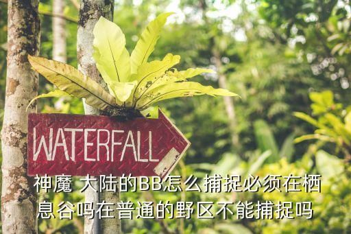  神魔 大陆的BB怎么捕捉必须在栖息谷吗在普通的野区不能捕捉吗