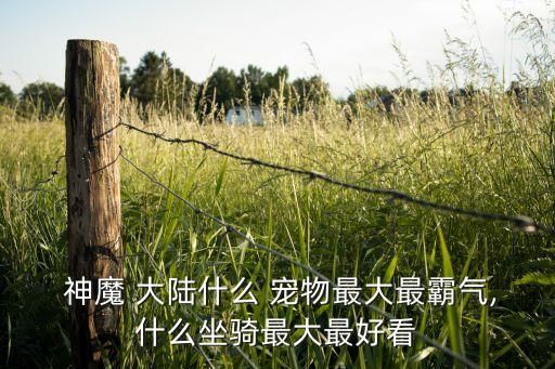  神魔 大陆什么 宠物最大最霸气,什么坐骑最大最好看