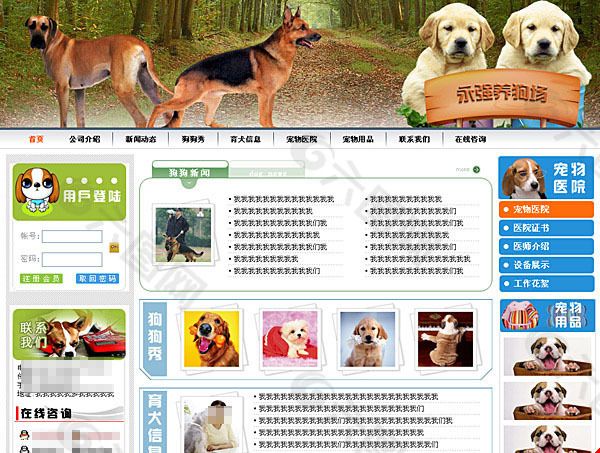 宠物网站模板
