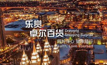 陆丰宠物网站设计-广州至隆科技有限公司
