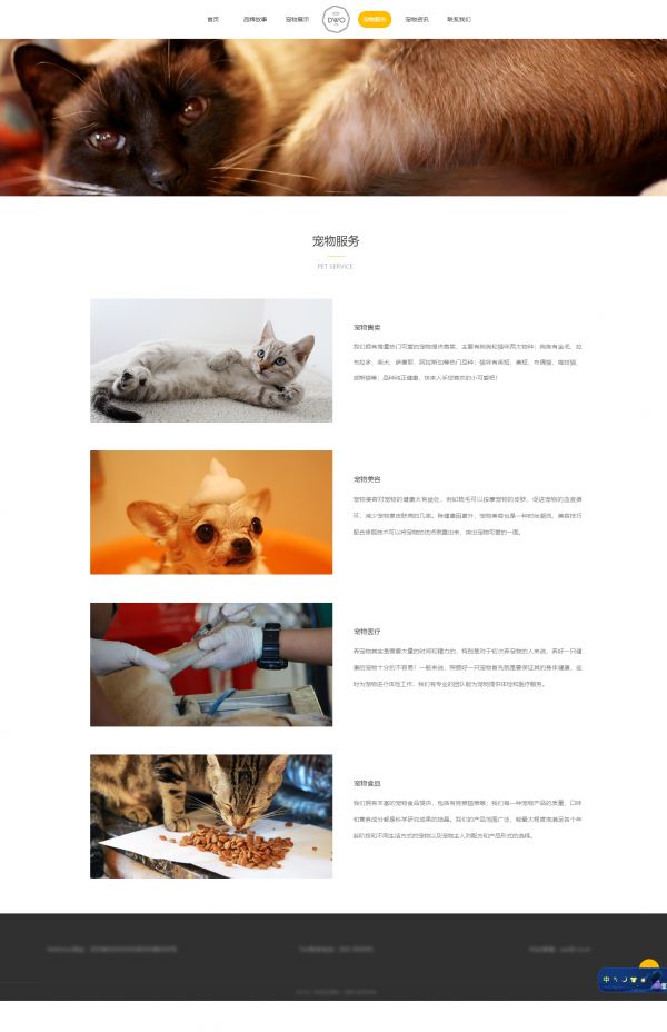 宠物网站设计案例(宠物网站页面设计代码)