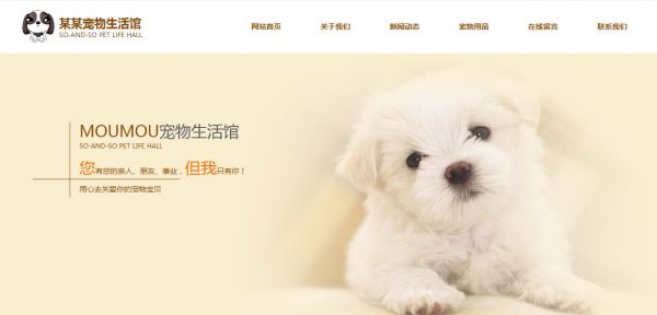 杭州宠物猫狗网站建设方案