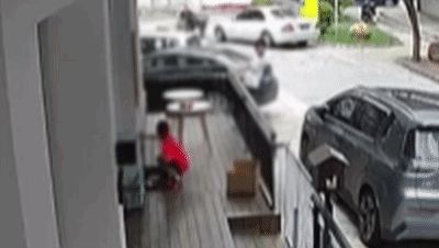 小男孩抓幼猫乱甩后摔地上致其死亡，心理医生紧急提醒