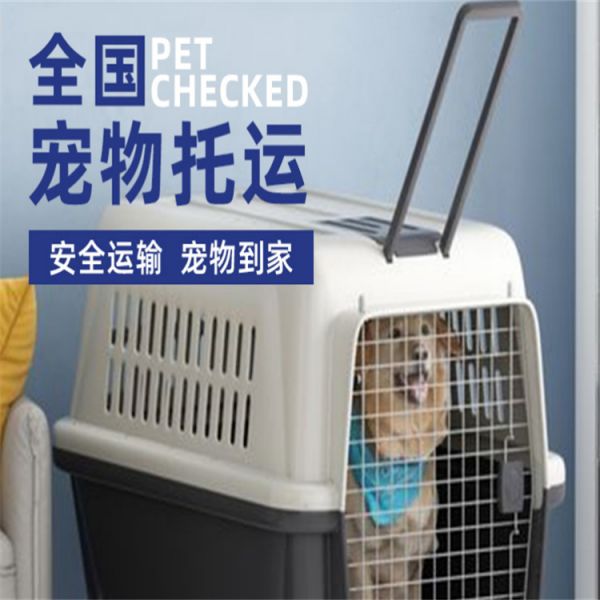 郴州狗狗托运-单托运