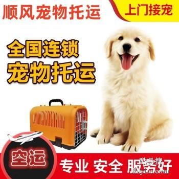 福安 宠物托运猫狗活体运输福安周边上门取宠