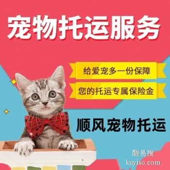 福安 宠物托运猫狗活体运输福安周边上门取宠