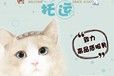 四平靠谱的宠物托运宠物活体运输