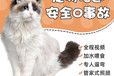 宠物托运）四平宠物托运汽车托运