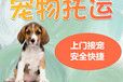 宠物托运）四平正规宠物托运空调轿车