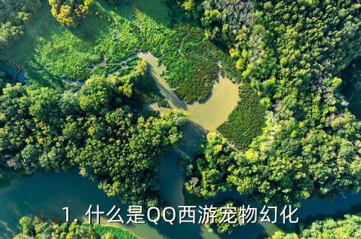 1. 什么是QQ西游宠物幻化