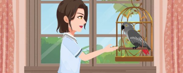 女子眉毛被宠物鹦鹉拔光 当事人回应