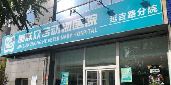 延吉动物医院在哪里啊多少钱（延吉市宠物医院）