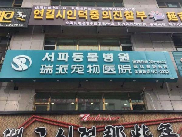 延吉动物医院在哪里啊多少钱（延吉市宠物医院）