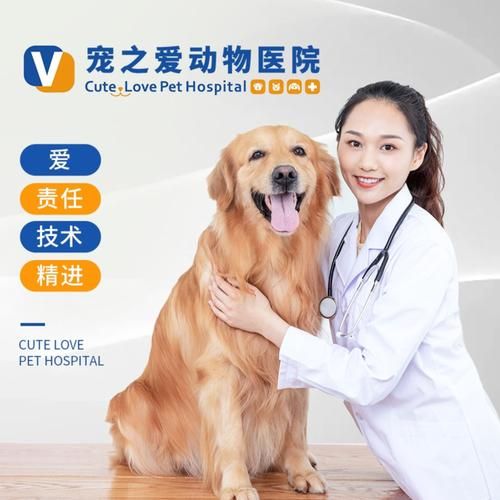 延吉市宠物医院推荐（延吉市宠物狗）