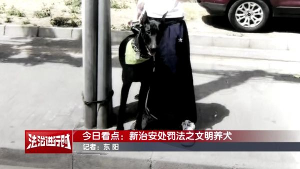 养宠人士注意！2026年1月1日起执行！违反者可被拘留！