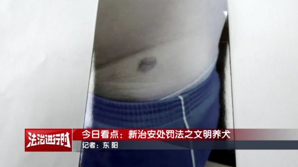 养宠人士注意！2026年1月1日起执行！违反者可被拘留！