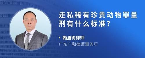 走私稀有珍贵动物罪量刑有什么标准?