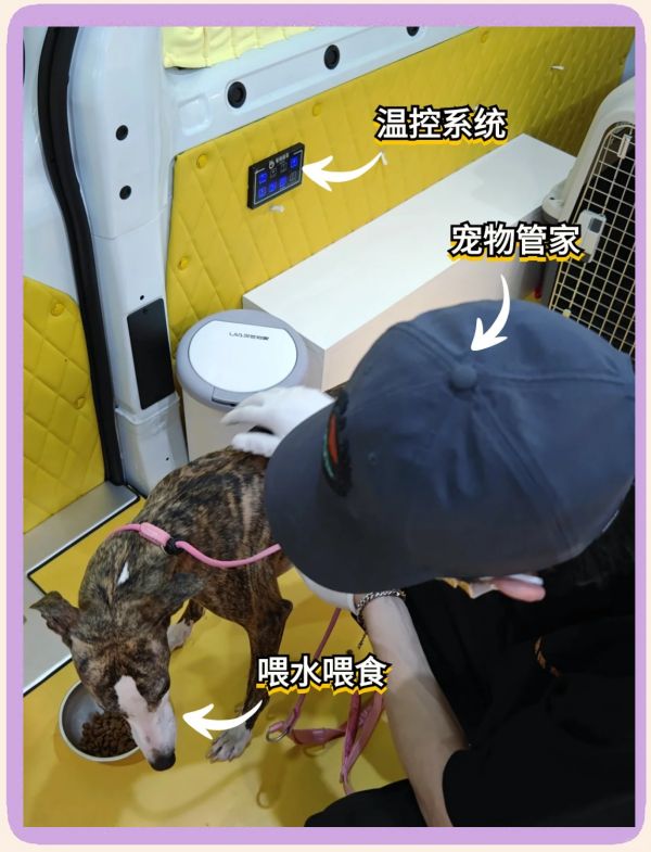 托运）咸宁托运邮寄活体运输