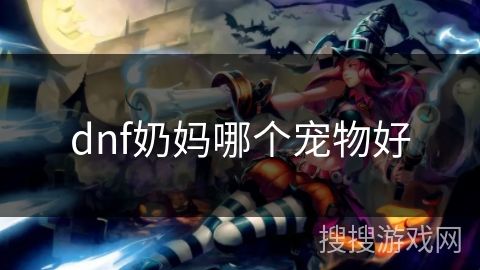 dnf奶妈哪个宠物好