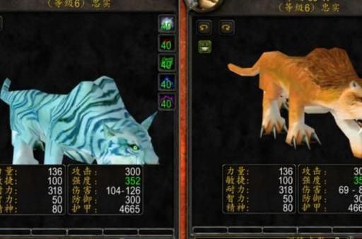 魔兽世界猎人宠物怎么喂食