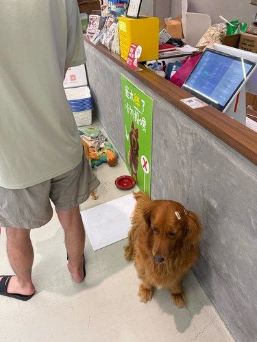 这家宠物店也太友好了