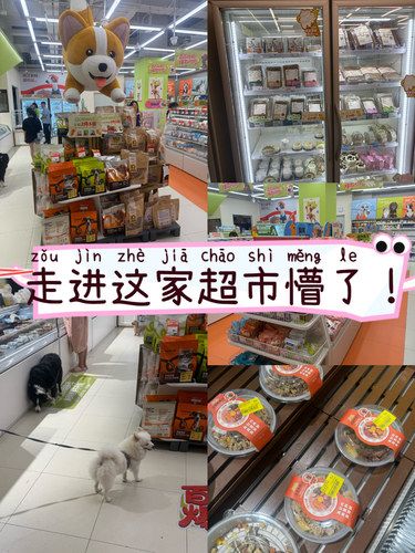 奔着便利店去的，却闯进宠物的“快乐星球”