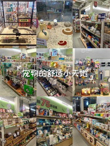 爪来吧登陆！异宠宇宙让你尖叫～