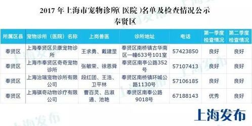金华宠物胆汁酸检测，宠物健康小贴士！
