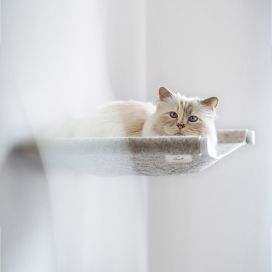 宠物猫的摇摆床
