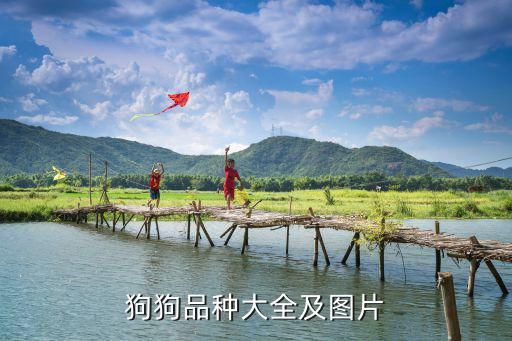 狗狗品种大全及图片