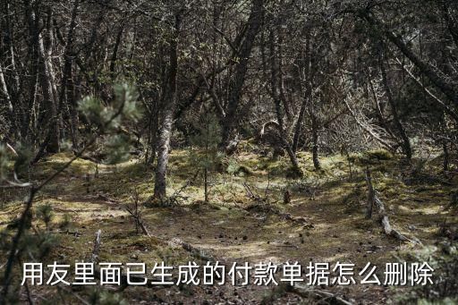 付款单,付款交单与信用证付款有什么区别