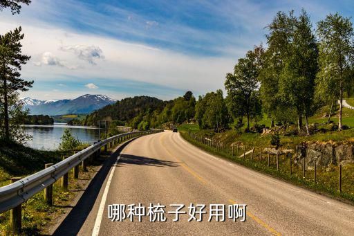 梳子图片,大S用的那把被她称为神梳的梳子是什么牌子