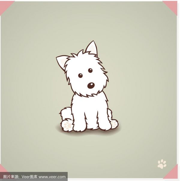 狗,西高地白猎犬,卡通,小狗,宠物