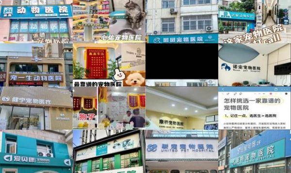 株洲宠物医院哪个靠谱