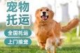 宠物托运）莆田宠物托运物流航空托运