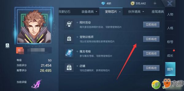 龙族幻想宠物芯片获取攻略