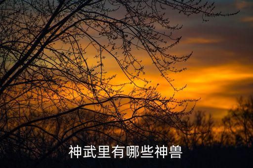 神武里有哪些神兽