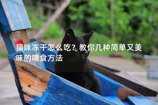 猫咪冻干怎么吃？教你几种简单又美味的喂食方法
